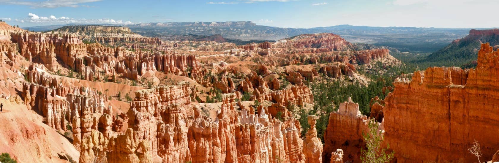 Red rocks and green trees of Bryce Canyon
