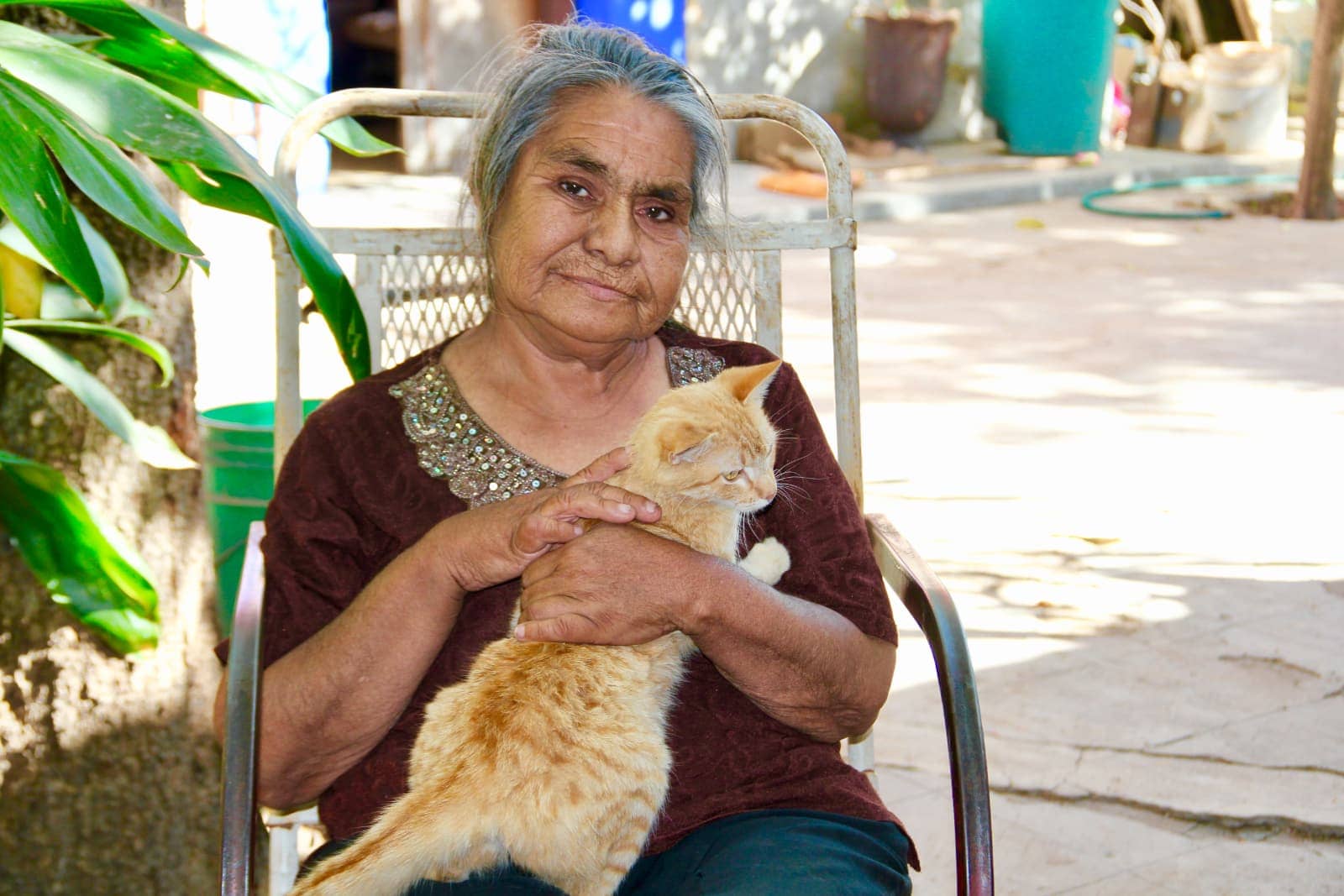 Elderly woman holding orange tabby cat in Mexico