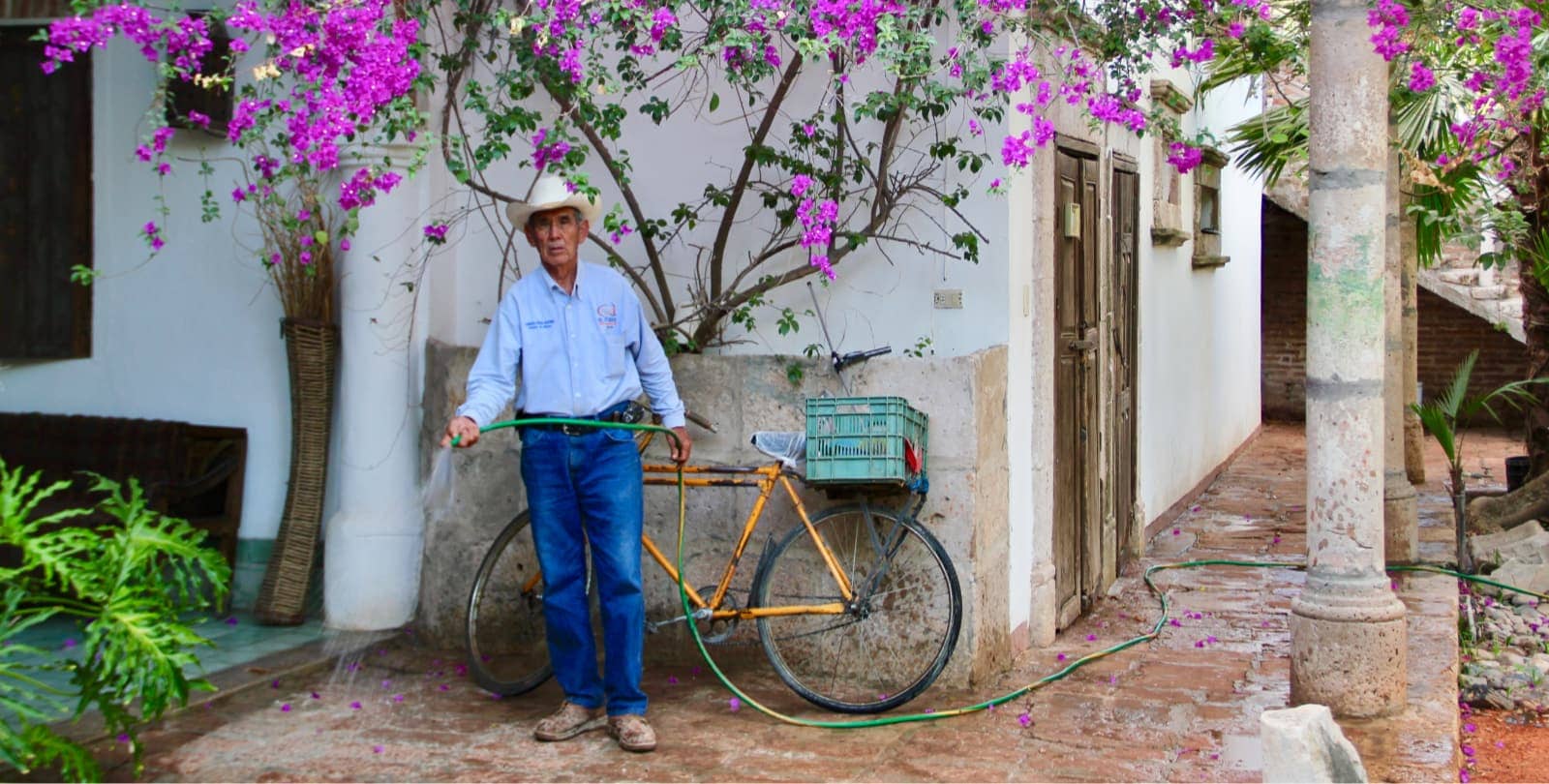 Elderly man watering plants on the street in Mexico