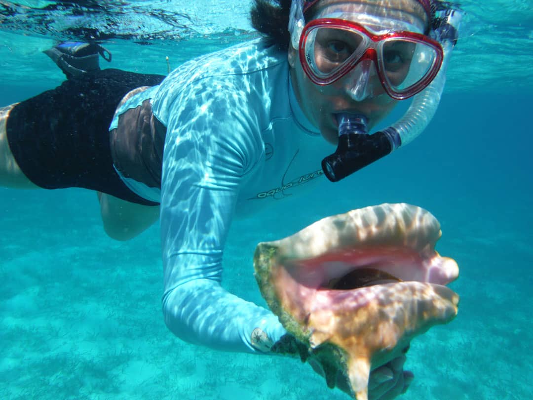 Snorkellor displaying large sea shell