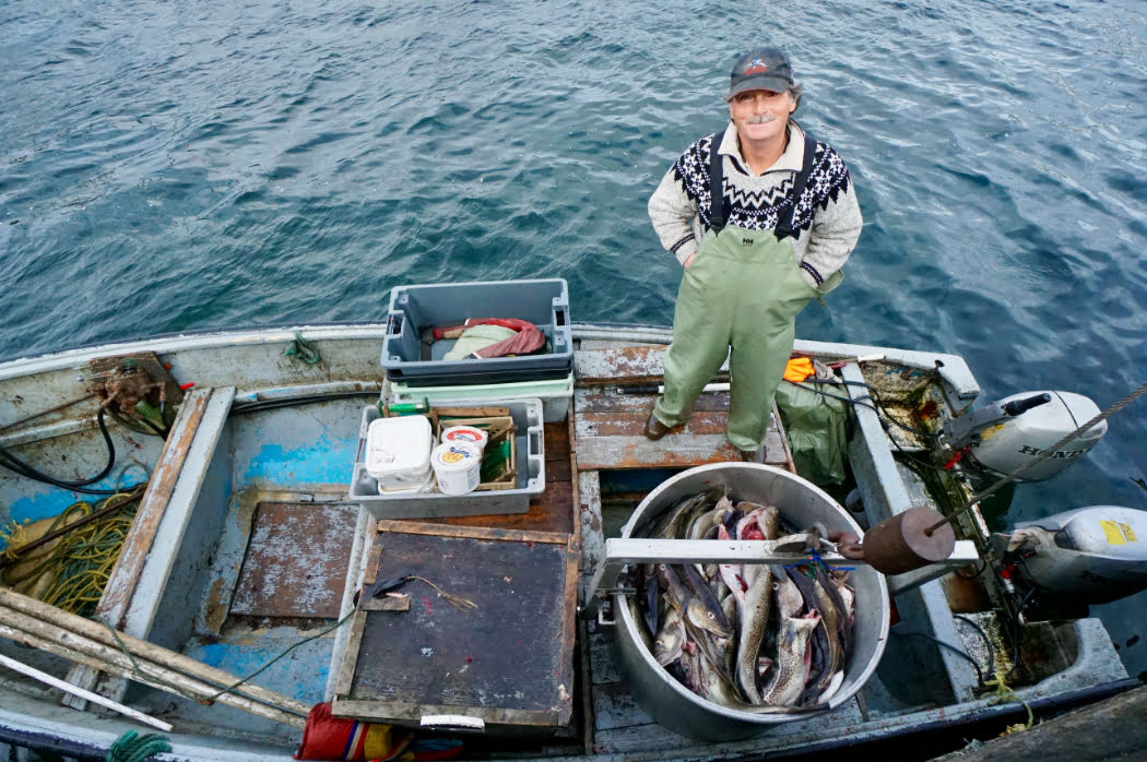 A man with fishing overalls, white and black knit sweater, and baseball cap stands on a rusty boat. In front of him is a large round bucket filled with fish, and beside him is various fishing tools.