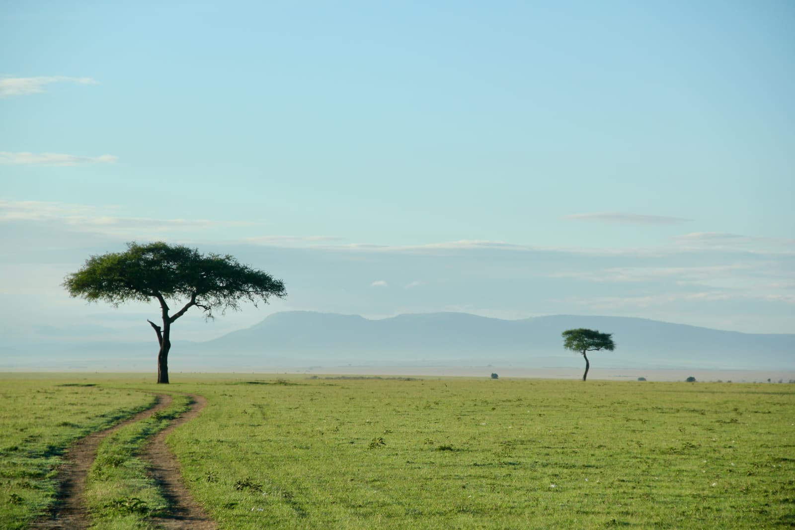 African savannah with mountains in distant background