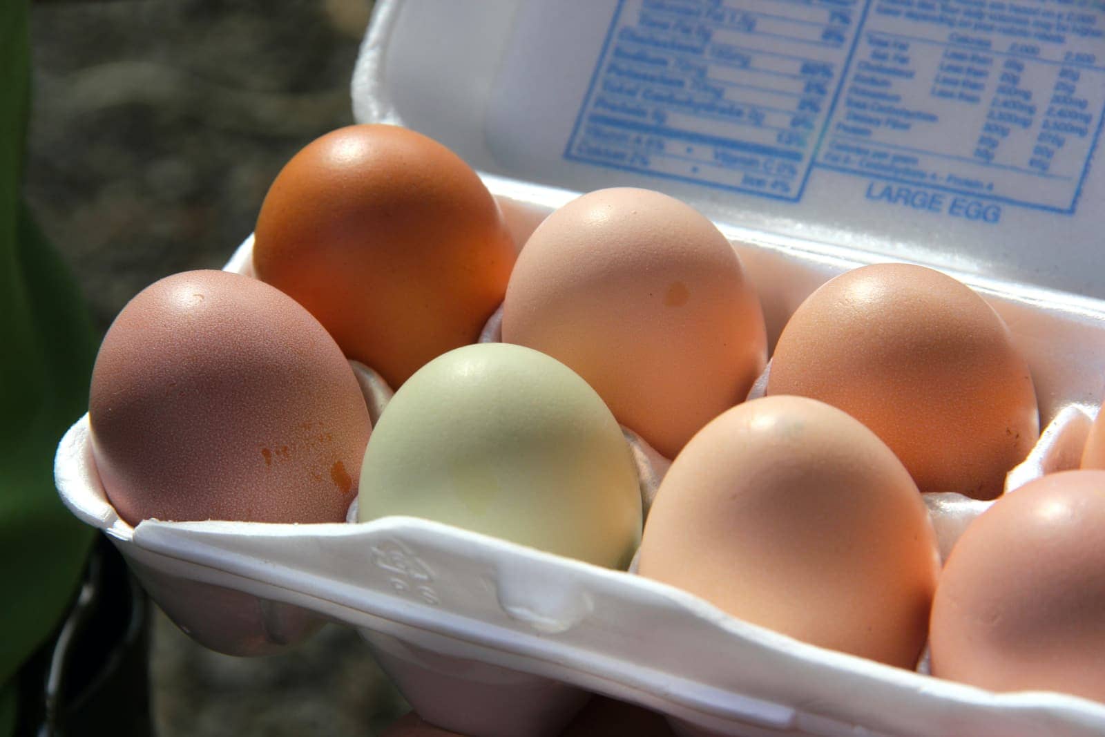 Brown and green eggs in carton