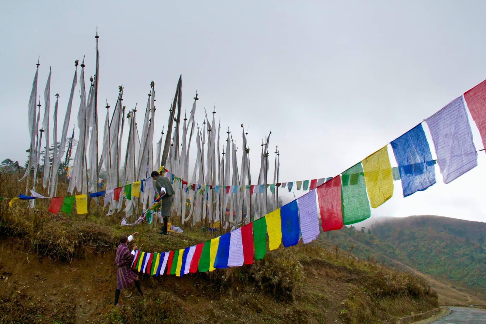 Colourful flags in foreground with white flags in background