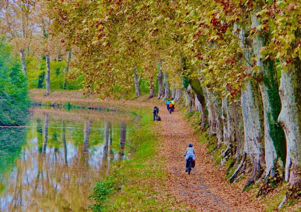 Cycling along river and trees