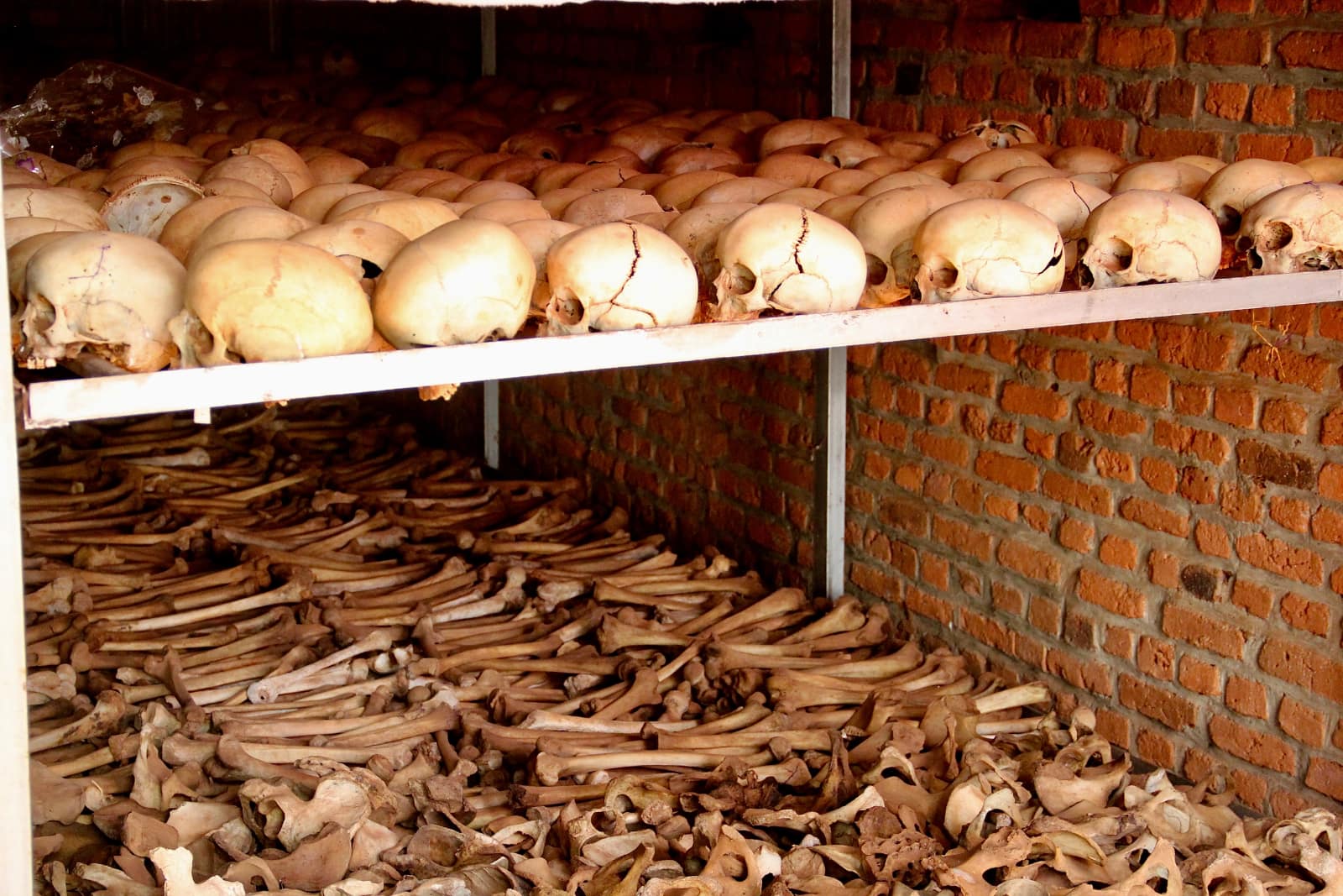 Display of human skulls and bones