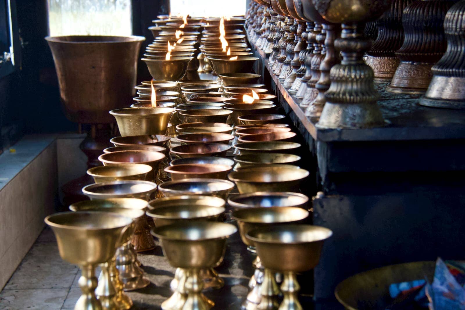 Dozens of golden cups