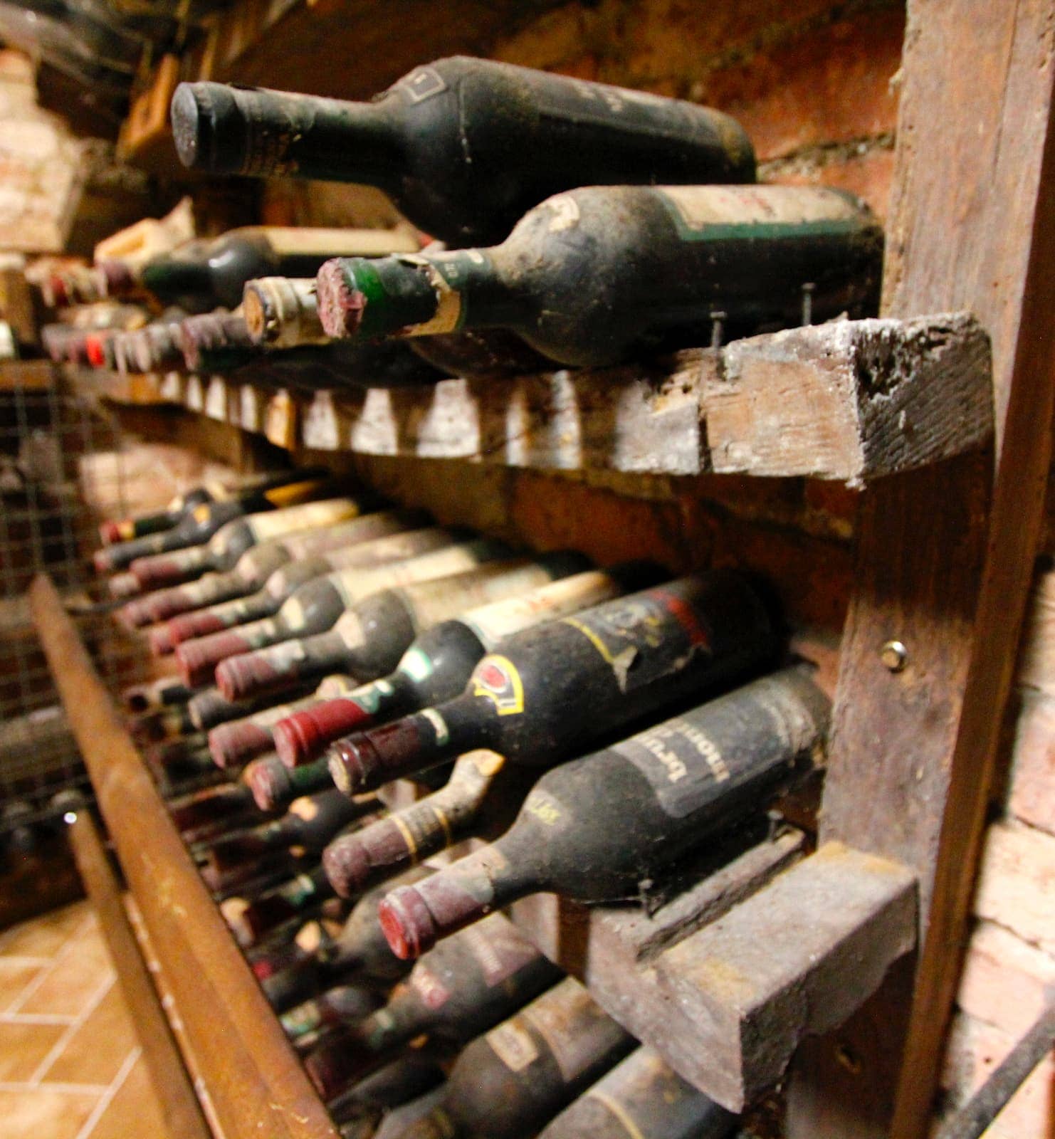 Dusty wine bottles in old cellar