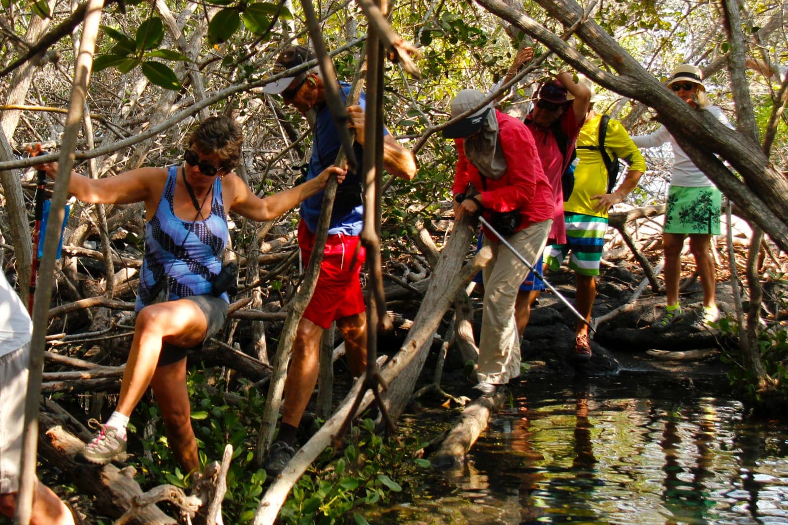 Group of people hiking through trees