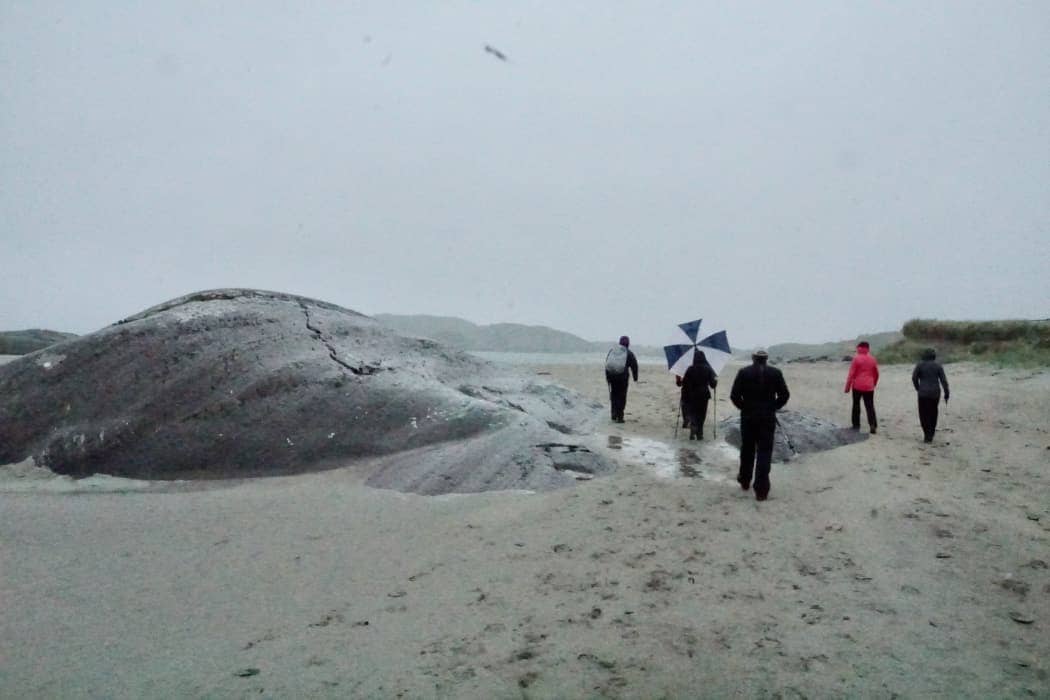 Group walking along beach in the rain