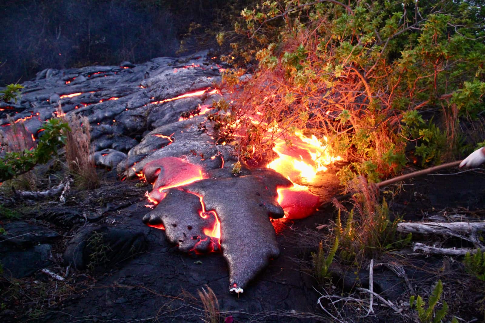 Hot lava burning grasses on ground
