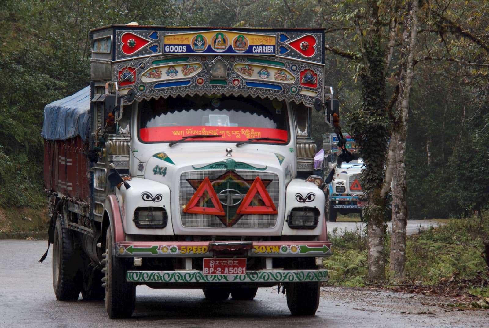 Large white truck with flourishes driving on road