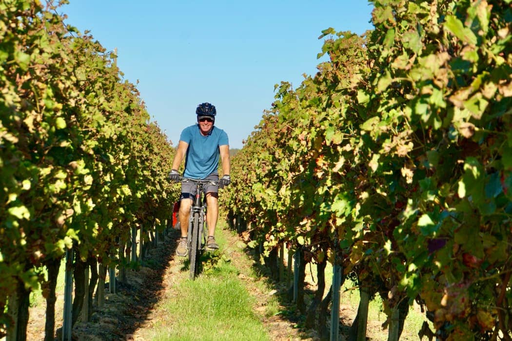 Man cycling through vineyards