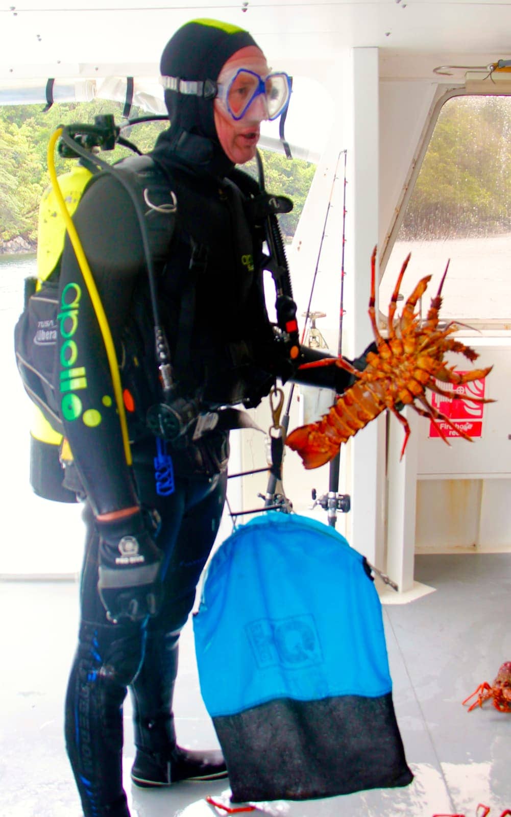 Man in diving gear holding large crayfish