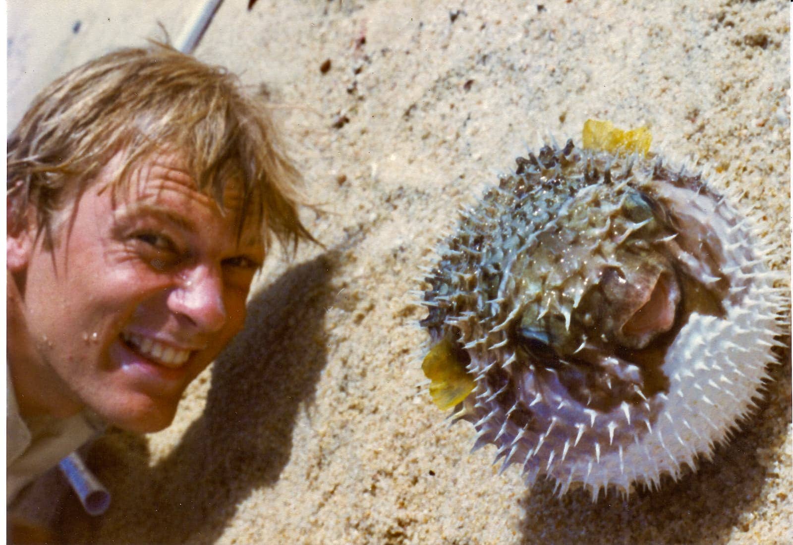 Man lying on sand next to puffer fish