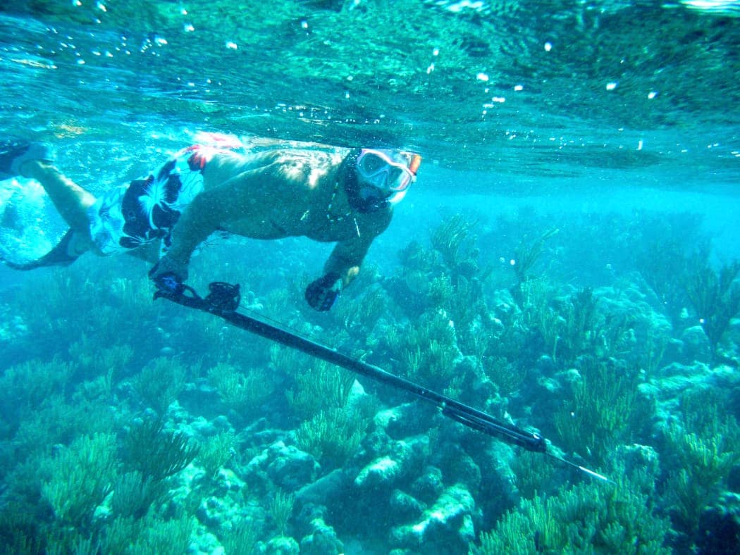 Man spear fishing on reef