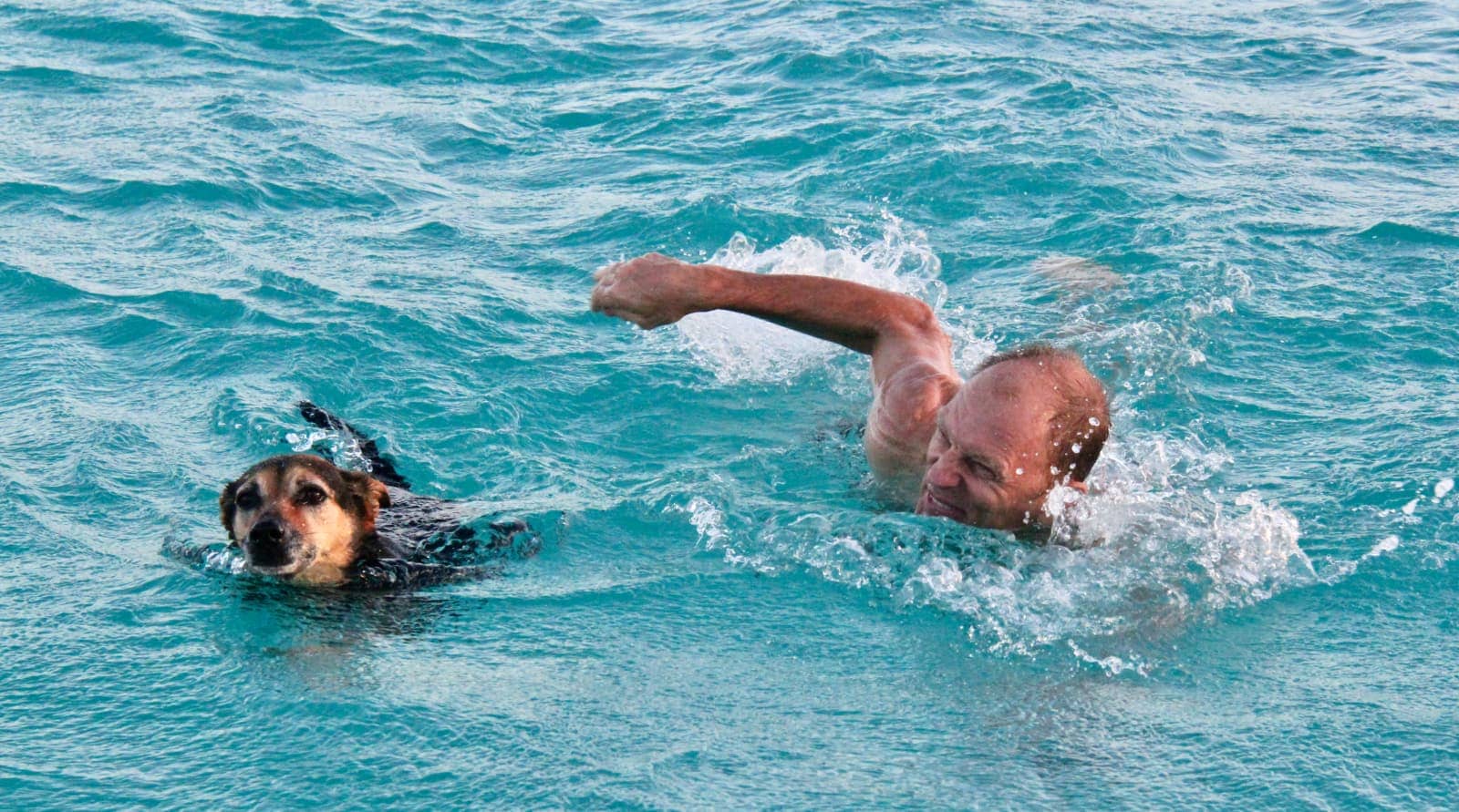 Man swimming in ocean with dog