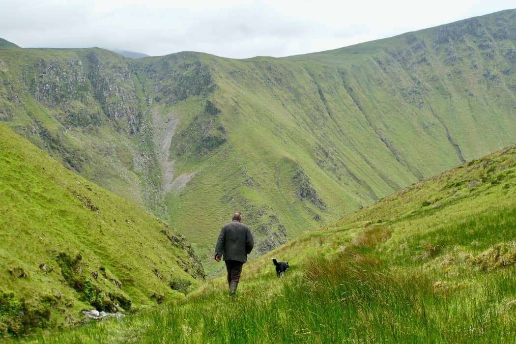 Man walking with dog in green valley