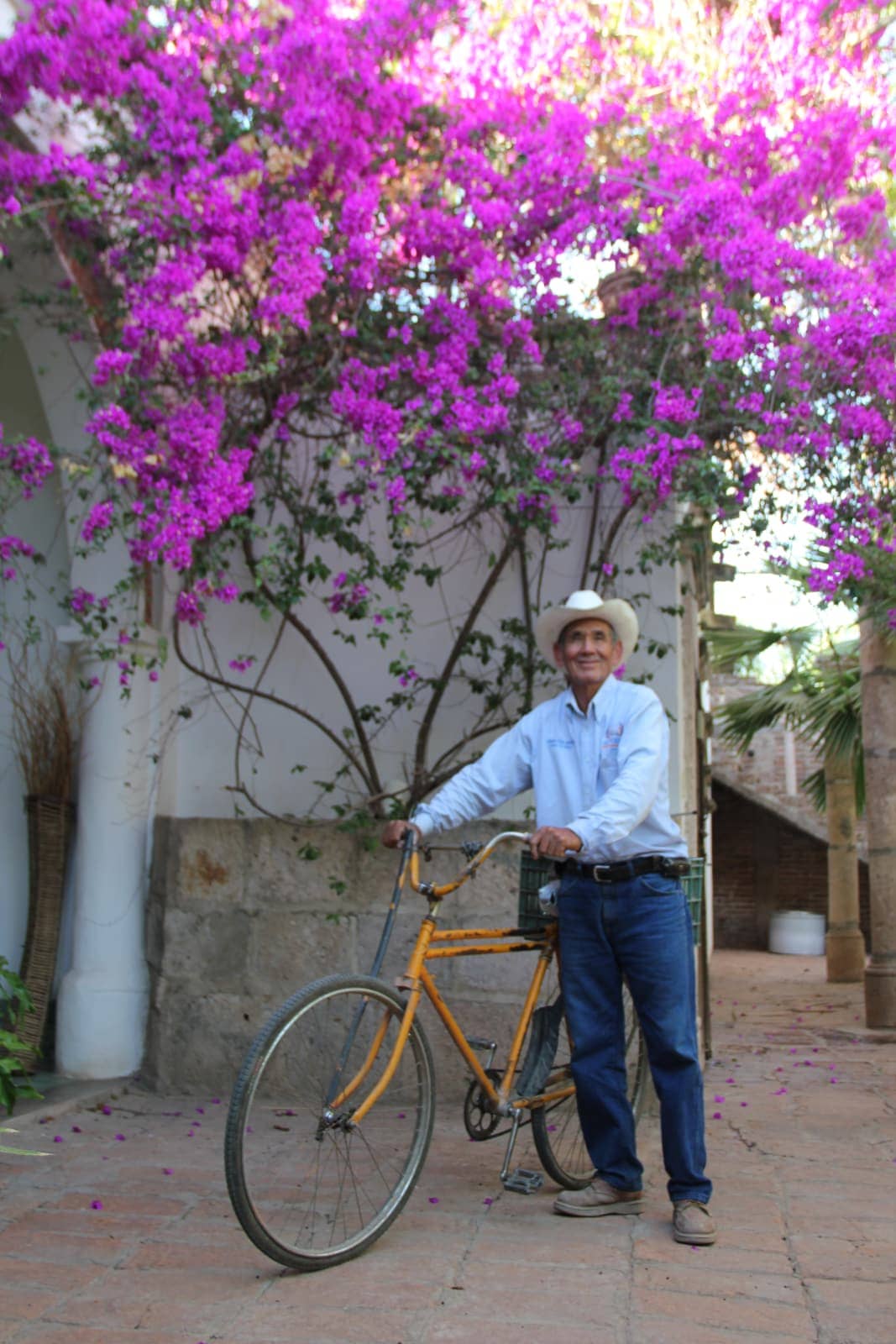 Man with blue shirt and jeans standing with yellow bicycle