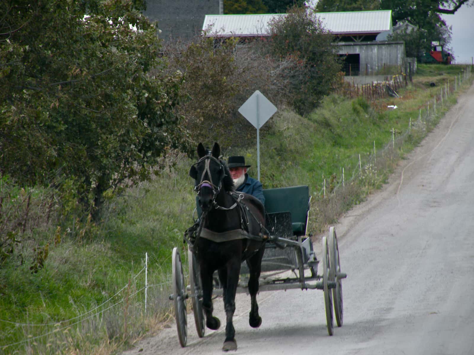 Man with white beard in horse drawn carriage
