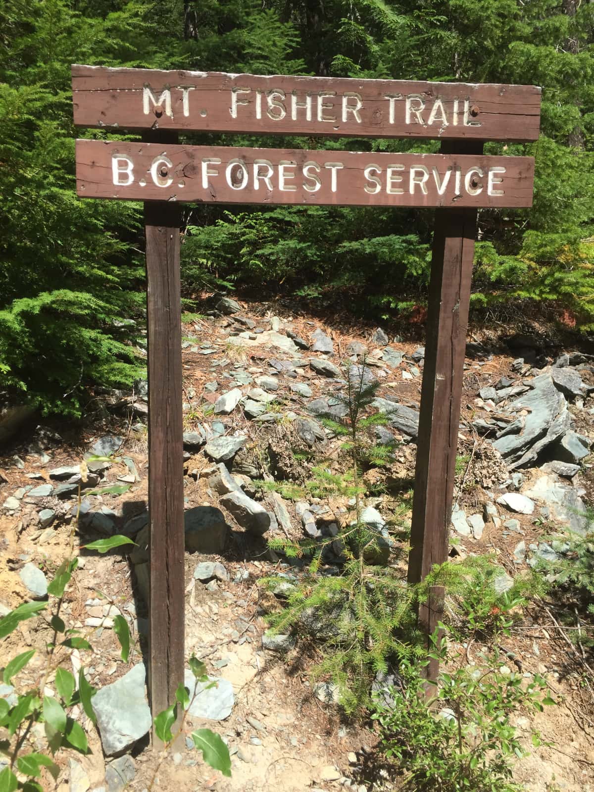 Mount Fisher trail wooden sign