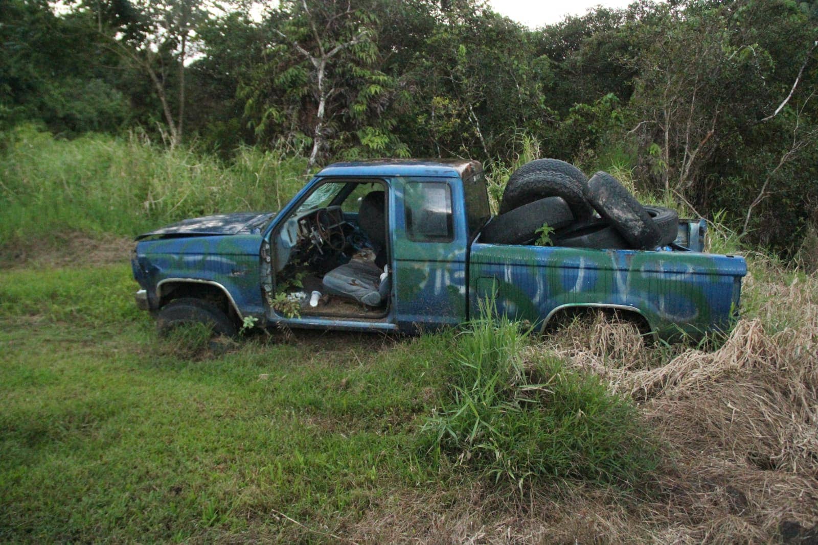 Old truck parked in grass with tires in box