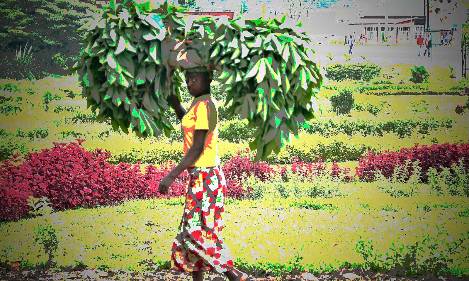 Person carrying large amount of vegetation over their head