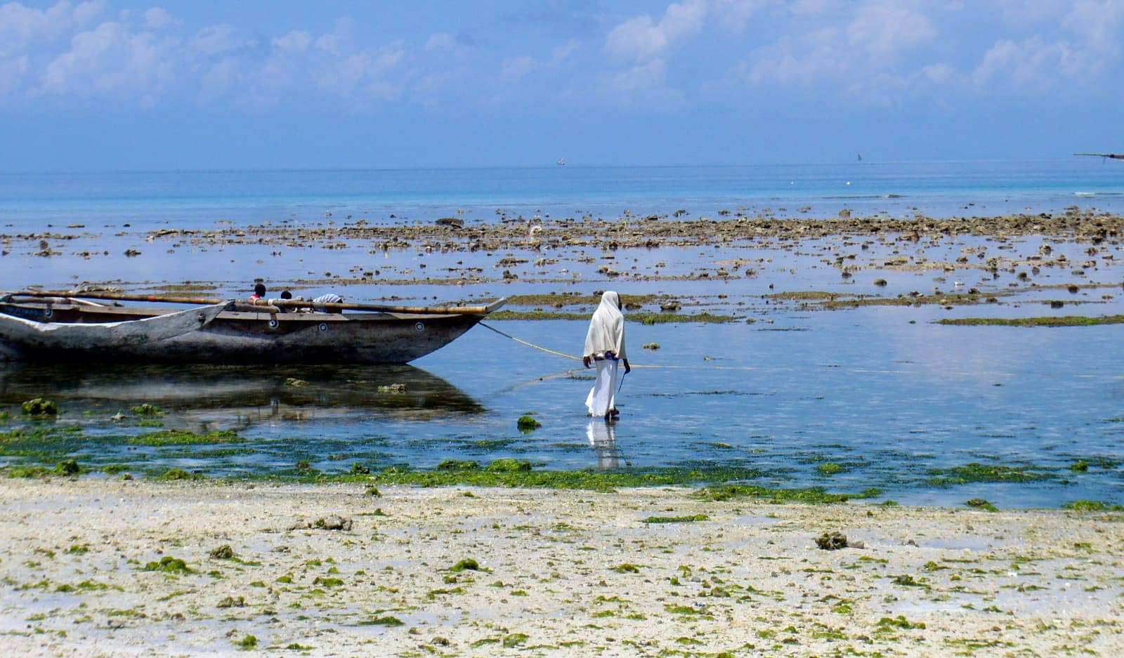 Person standing in shallow water holding line from boat