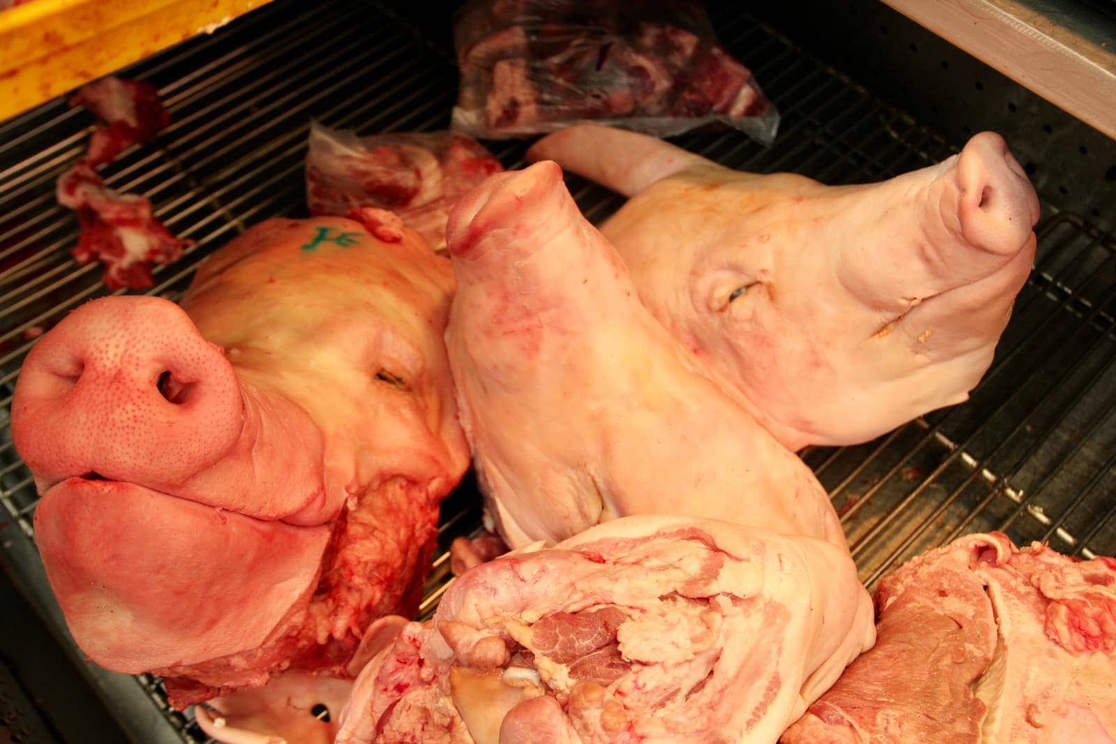 Pig heads and parts on grill