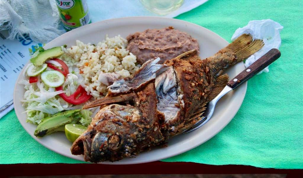 Plate of whole grilled fish and salad