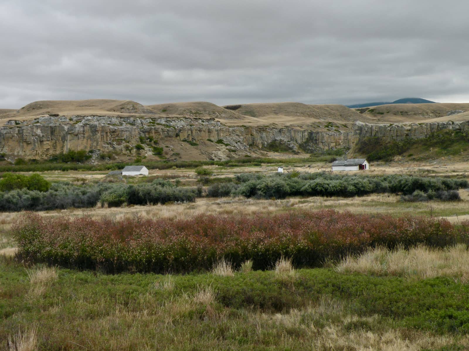 Prairie grass in foreground with hills in background