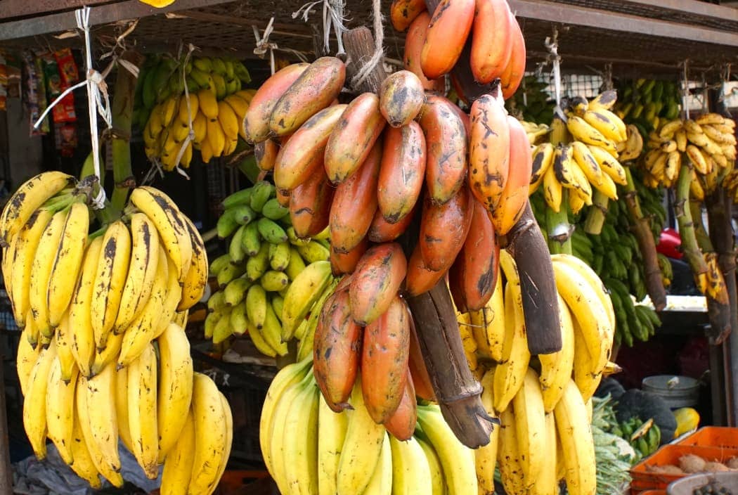 Red, brown, and yellow bananas at market
