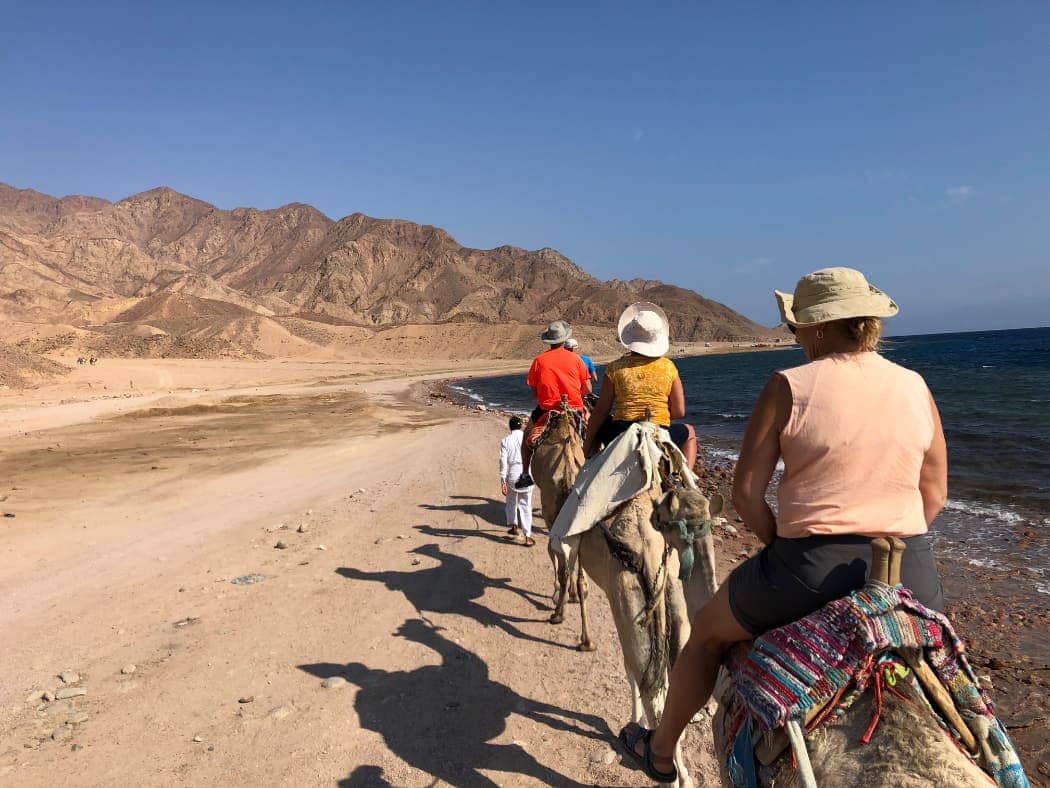 Riding camels along sea