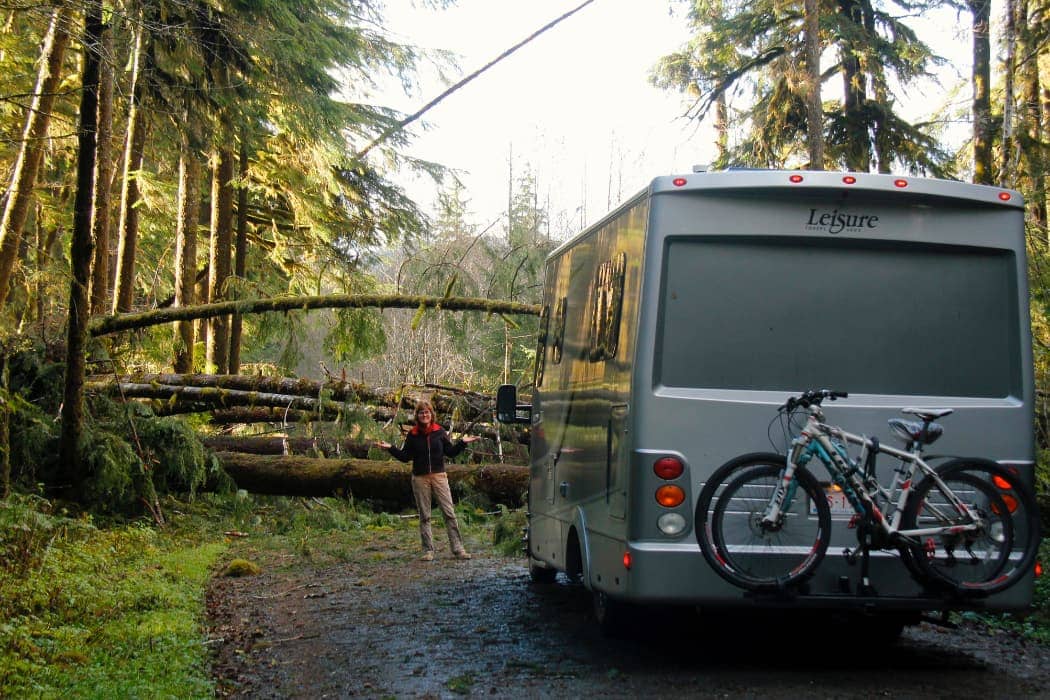 RV stopped by fallen trees