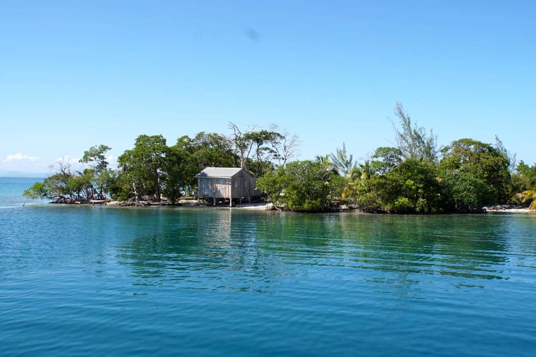 Small house with vegetation on island