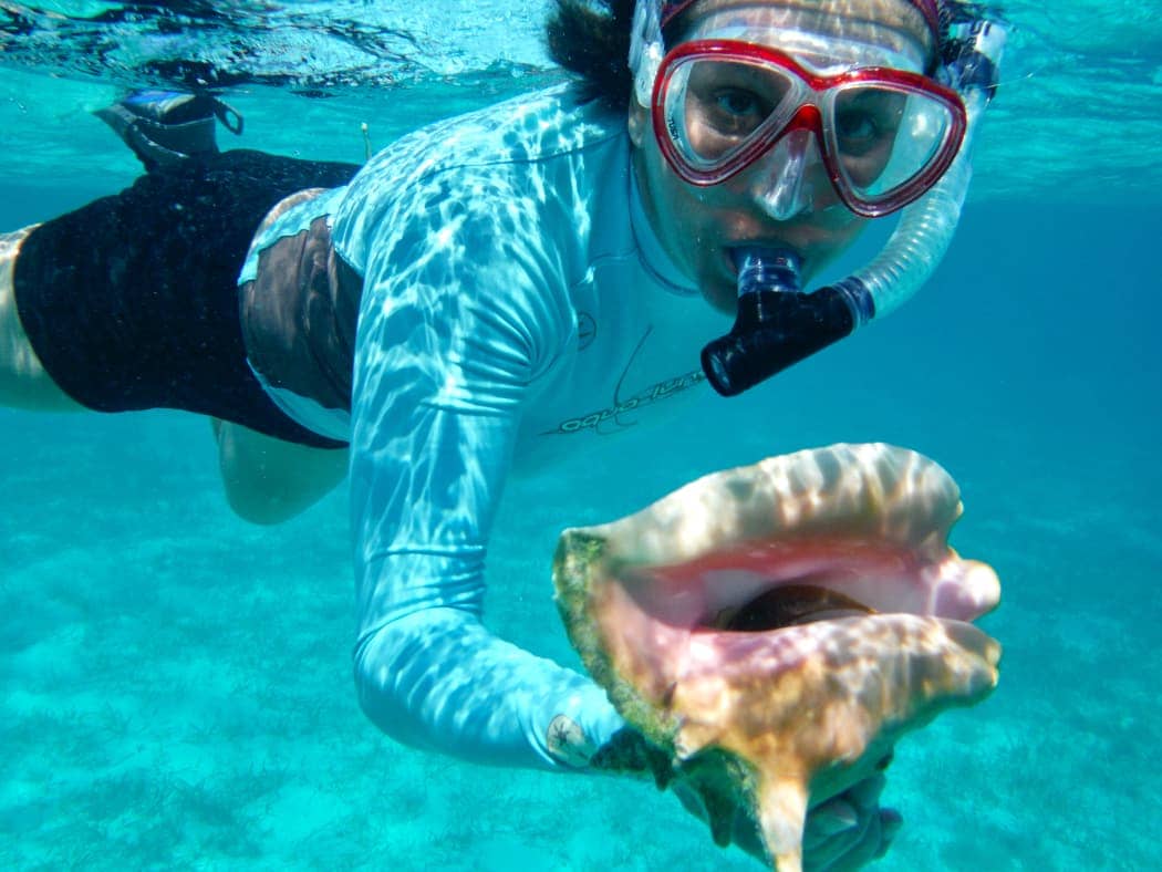 Snorkeller displaying large sea shell