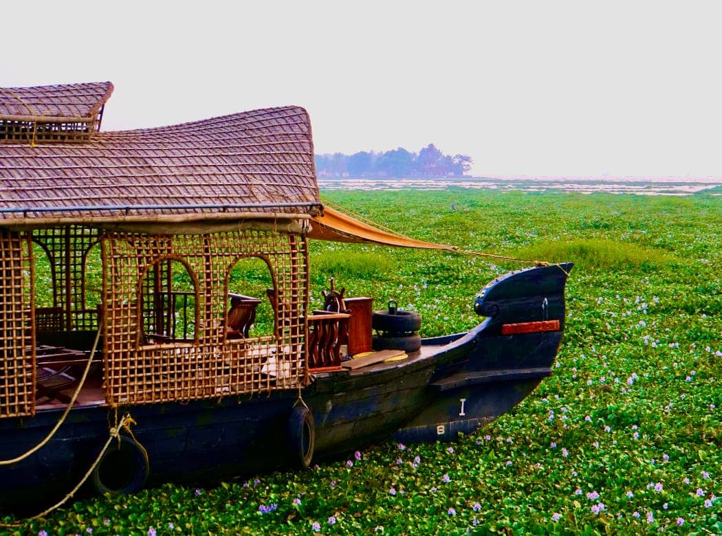 Thatched roof boat floating on lake
