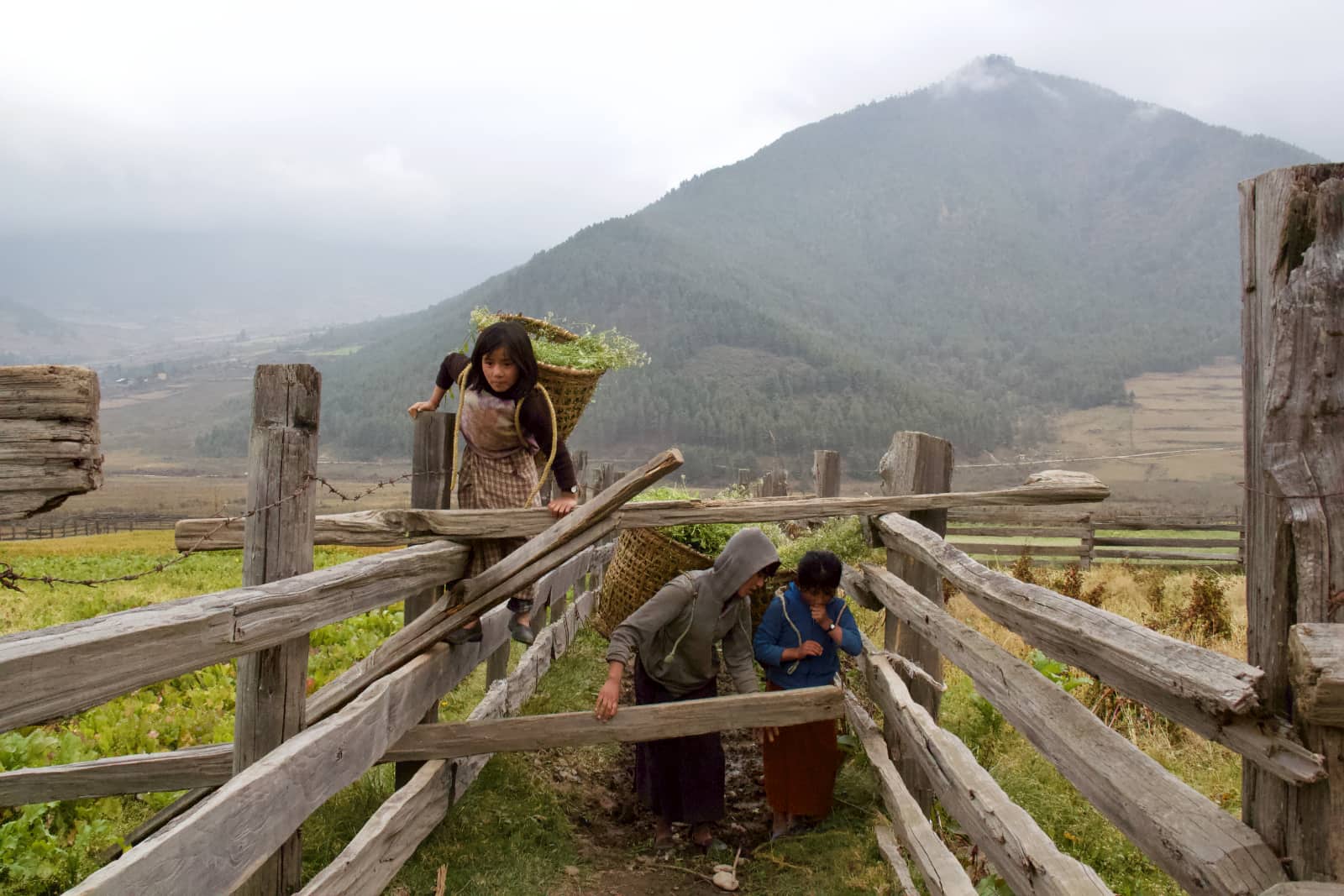 Three people walking between fences