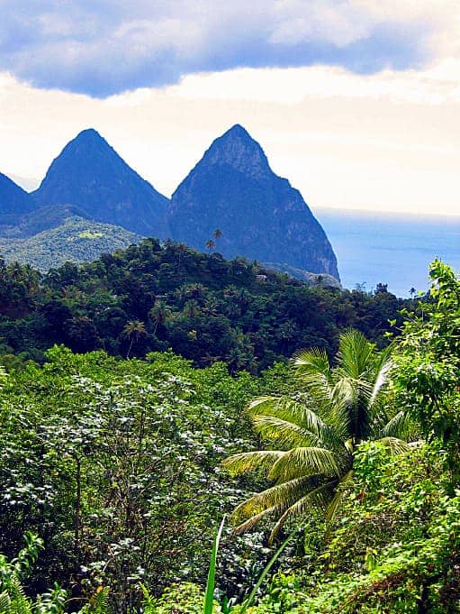 Tropical forest in foreground with mountains in background