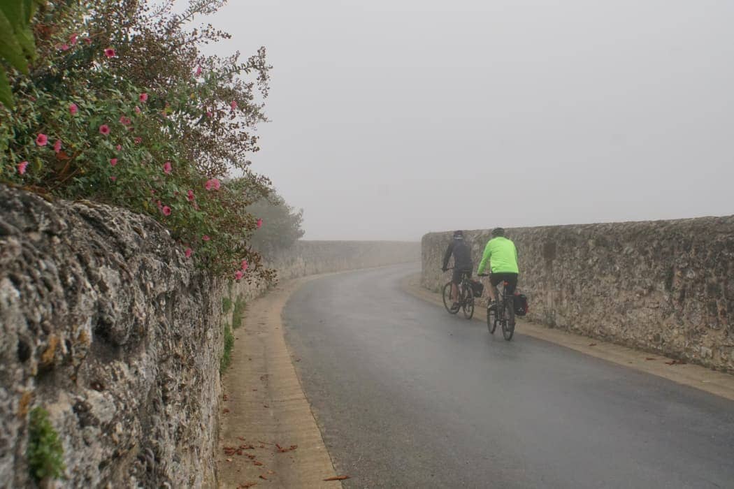 Two people cycling on roadway in fog