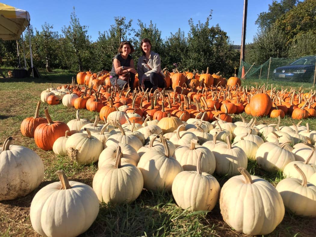 Two women smiling with orange and white pumpkins