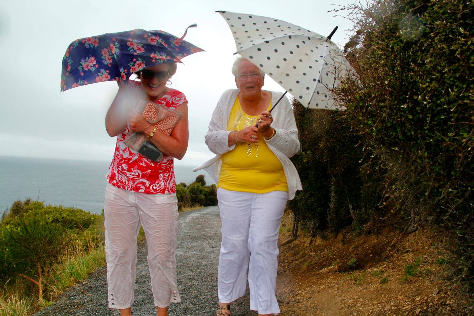 Two women walking with umbrellas in heavy wind