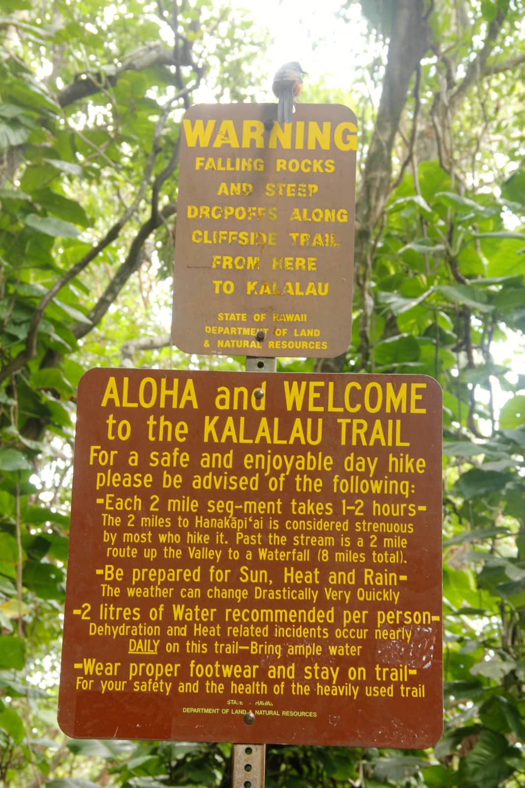 Warning and hiking signage for Kalalau trail
