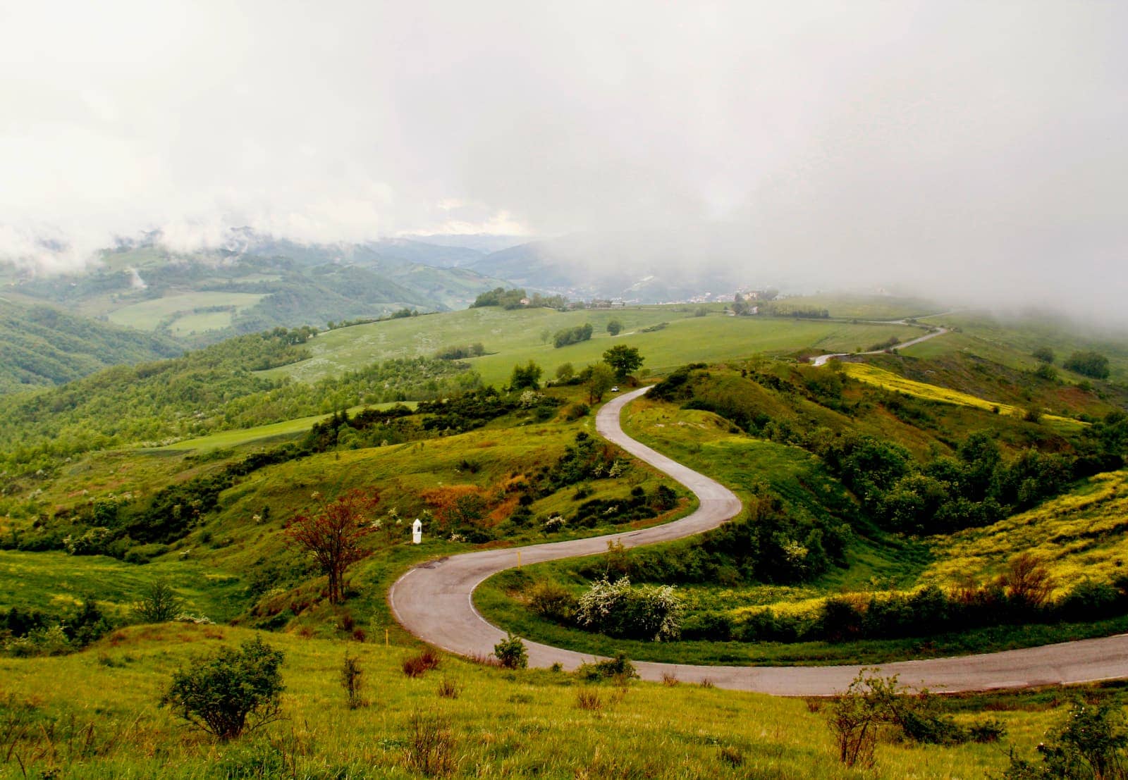 Winding road into foggy weather