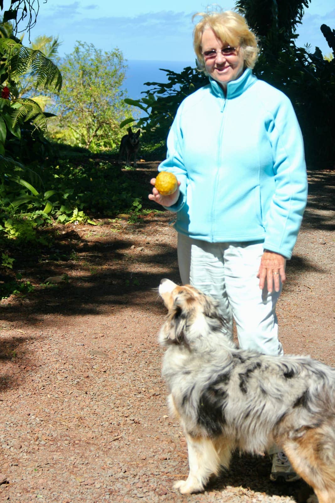 Woman in light blue sweater showing yellow fruit to camera with dog at her feet