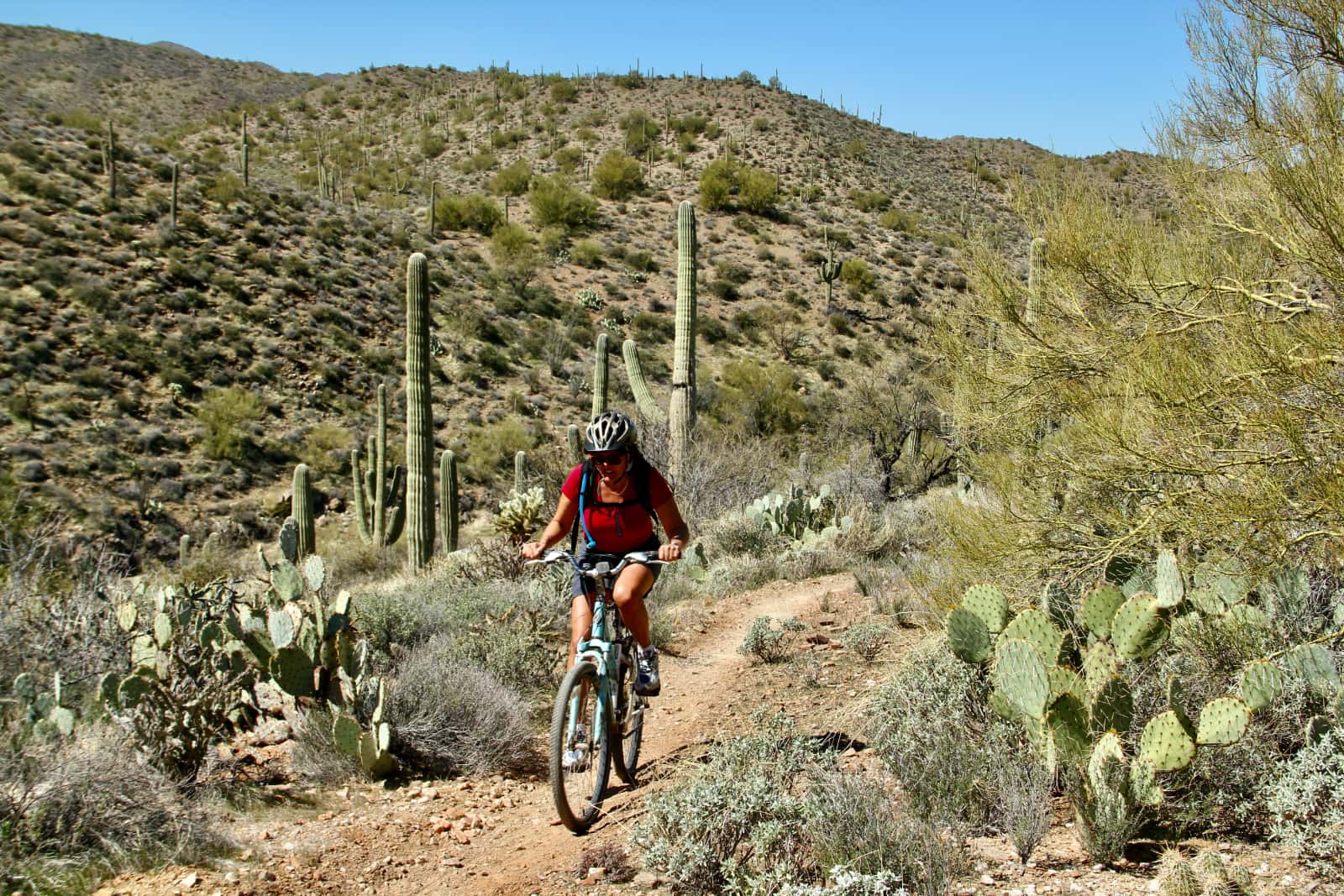 Woman in red shirt riding bicycle amongst cactus in desert