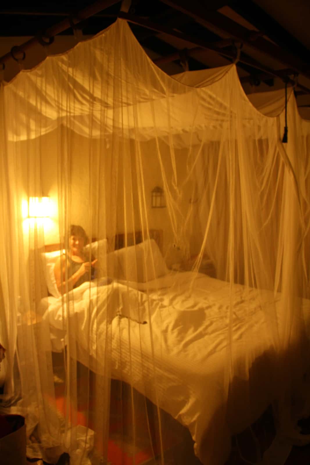 Woman lying in bed covered with mosquito netting