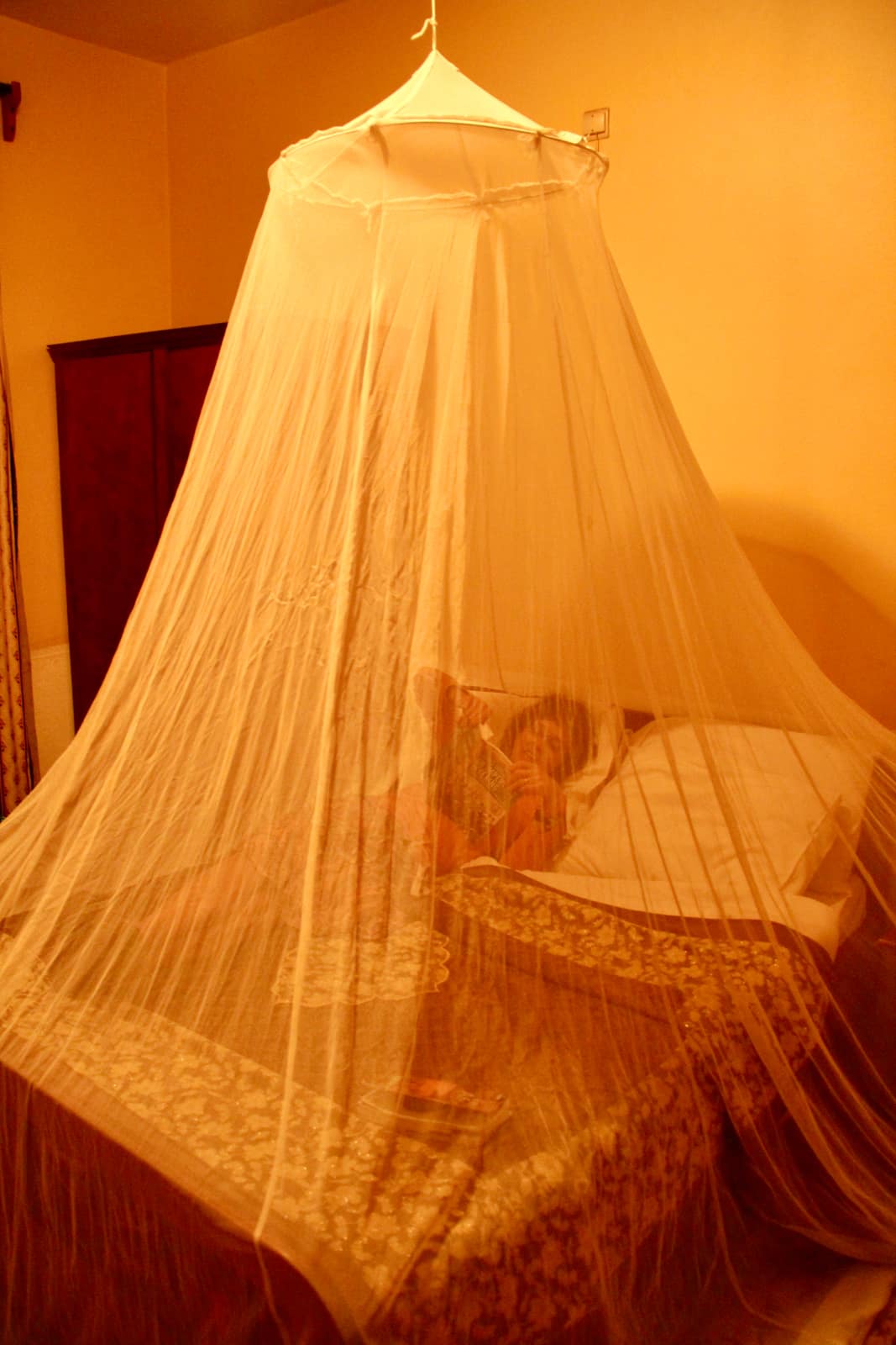 Woman lying in bed surrounded by mosquito net