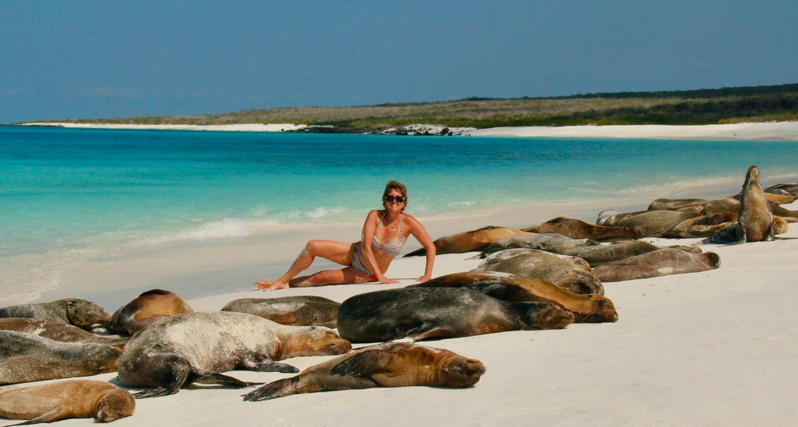 Woman posing with seals on white sand beach