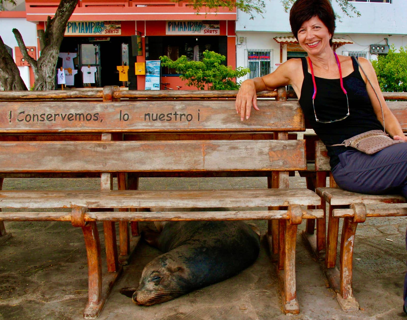 Woman sitting on bench with seal lying underneath